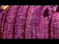 Bloemencorso Lichtenvoorde 8 september 2019