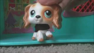 ~The Babysitter&#39;s a Vampire~LPSMV~Fred Figglehorn~