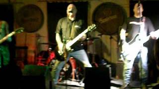 SECTION 5 - Love of Oi! - Live in Pilsen