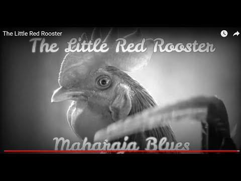 The Little Red Rooster