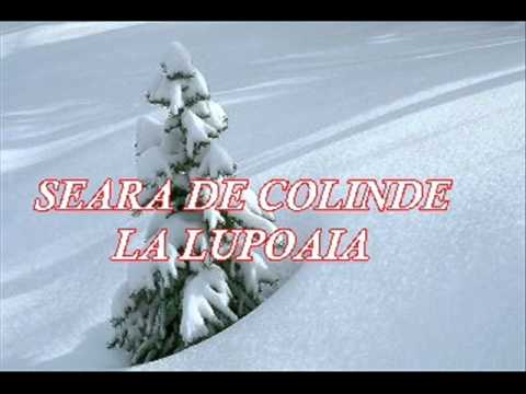 SEARA DE COLINDE LA LUPOAIA