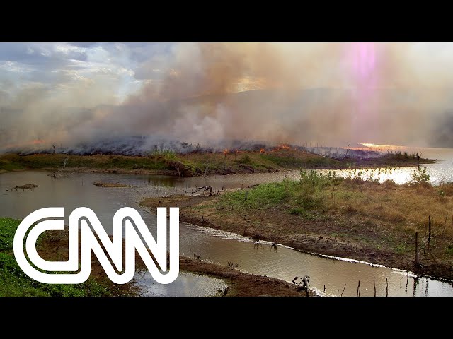 Desmatamento no Cerrado prejudica segurança hídrica no Brasil | CNN PRIME TIME
