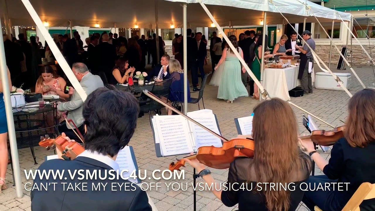 Promotional video thumbnail 34 for VSmusic4u Wedding & Event Musicians