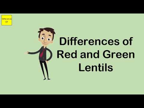 download lagu mp3 mp4 Puy Lentils Substitute, download lagu Puy Lentils Substitute gratis, unduh video klip Puy Lentils Substitute