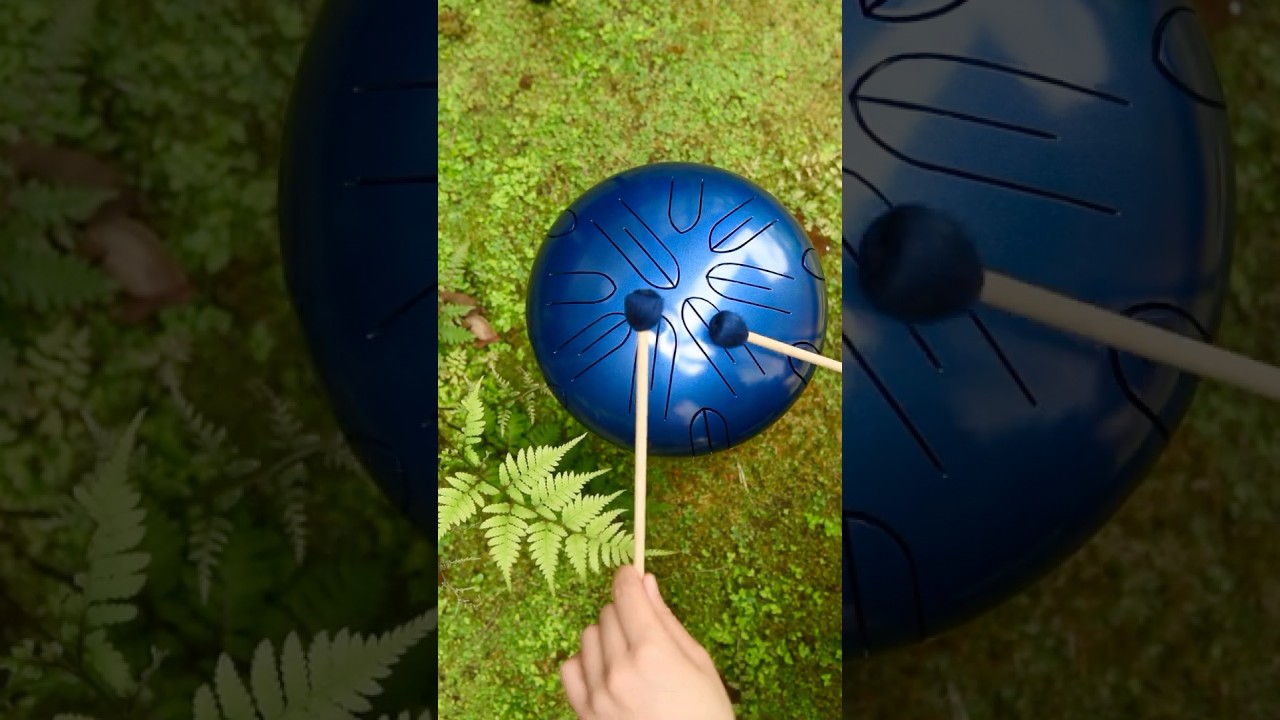 さざなみドラム×もののけ姫　#ghibli  #marimba  #マリンバ  #ヒーリング #ジブリ #shorts