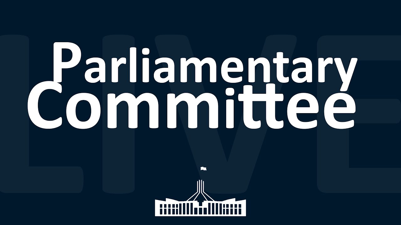 Inquiry Into The Australian Energy Market | 29/10/2024