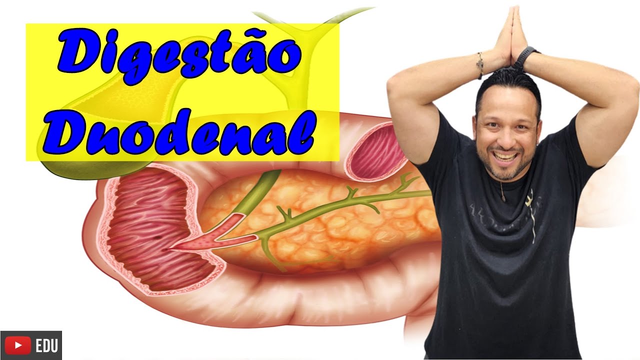 Digestão no Duodeno - Digestão Entérica - Intestino Delgado - Fisiologia Humana