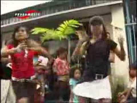 Bugis makassar (bale manre cokie)