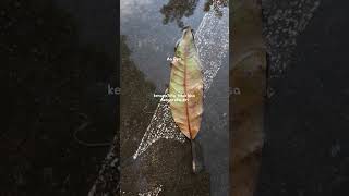 Download lagu Aa Gym: Fokuslah memperbaiki diri untuk mendekat kepada Allah mp3