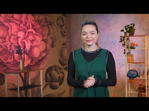 Всё моё! Выпуск от 25.11.25.