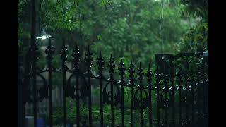 Rudo branco, som de chuva e lareira crepitando, sons da natureza