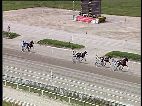 Trotto 06/06/2019 - prova di qualifica