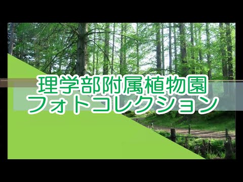 理学部附属植物園フォトコレクション