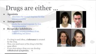 Consciousness   drugs & hypnosis