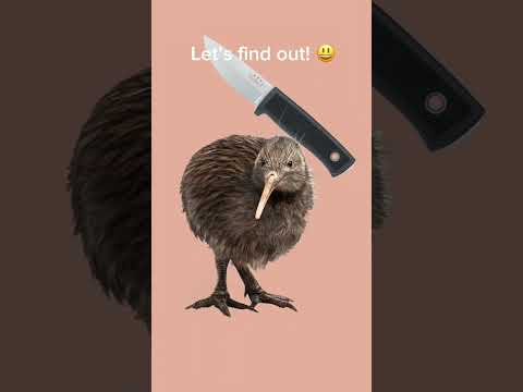 Cutting a kiwi in half! 😱 #shorts #animation #toonsquid #meme #experiment #funny #fake