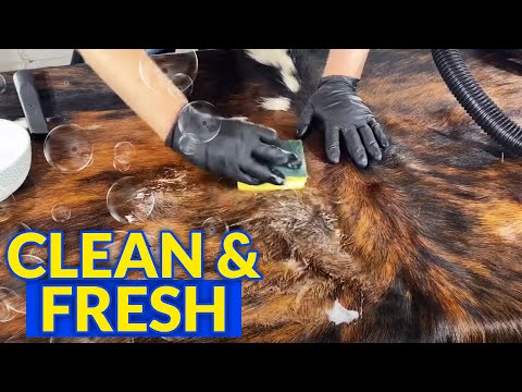 YouTube video about: How to tell if cowhide rug is real?