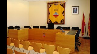 Ple Ordinari de dilluns 16 de novembre de 2020