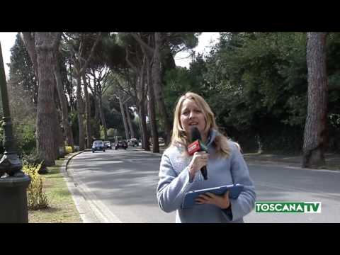 2017-03-18 FIRENZE - VIALE TORRICELLI, DAL 27 MARZO IL TAGLIO DEGLI ALBERI