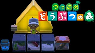 最強の布陣【あつまれ どうぶつの森】＃０４