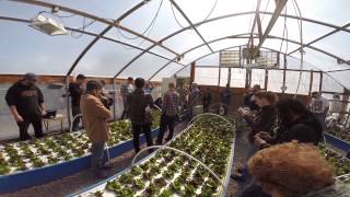 preview picture of video 'Jed's Aquaponic Farm part8'