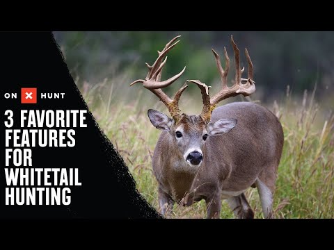 Top 3 Whitetail Features