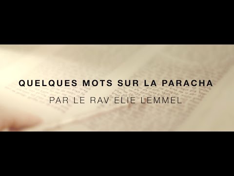 Des alliances qui façonnent l'avenir ! Rav Élie Lemmel - Parasha Lekh Lekha
