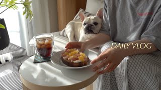 VLOG｜朝ごはんから始まる犬との暮らし🐕お気に入りのオープンサンド｜冷蔵庫収納の見直し｜ニトリ、セリア購入品