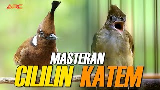 Download lagu MASTERAN CILILIN X KAPAS TEMBAK | SUPER GURIH mp3