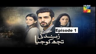 Zindagi Tujh Ko Jiya