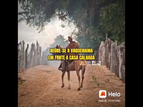 chegando o  mês de novembro dando a primeira chuvada reúne _se a 🐴