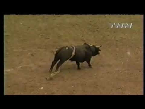 Leslie Doyle vs Wild Thing - 00 PBR Salt Lake City (85 pts)