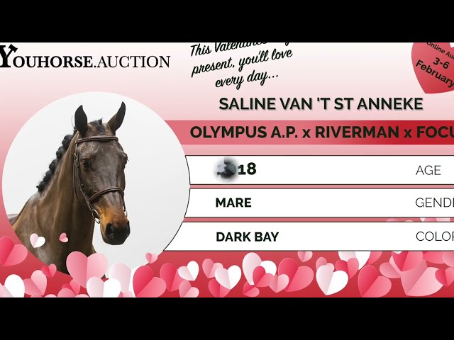 Saline Van 'T St Anneke