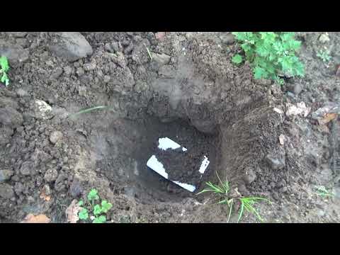 Begravelse af systemets stemme til valget 1. November 2022.