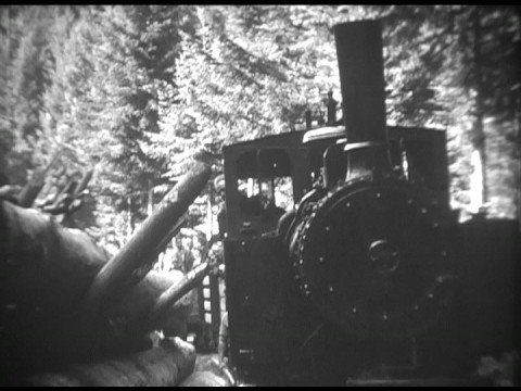 Chemin de fer Forestier d'Abreschviller 1960