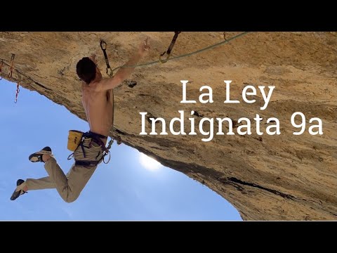 La Ley Indignata 9a - Will Bosi