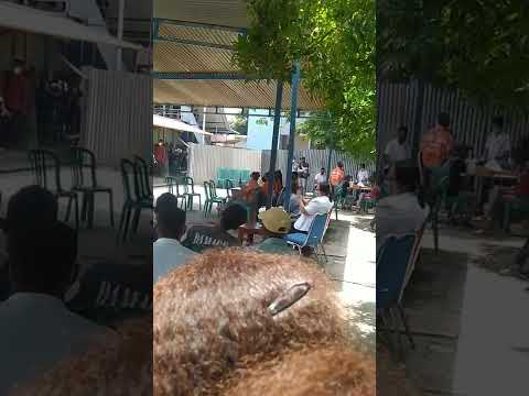 Marvi..iha.. UNTL (musik Iluzaun )