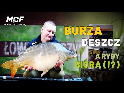 ŁOWISKO JERZYN / BURZOWA ZASIADKA NA st. 45