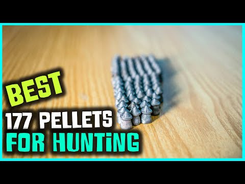 Top 5 Best 177 Pellets for Hunting [Review] - Terminator Hollowpoint Airgun Pellets [2026]