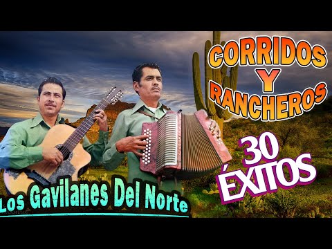 Corridos y Rancheras Viejitas - Los Gavilanes Del Norte 30 Exitos Del Oro