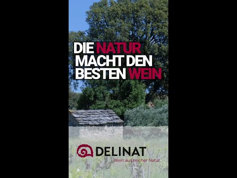 Domaine de Beaurenard in Châteauneuf-du-Pape: Höchste Weinqualität dank der Delinat-Methode