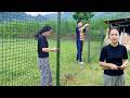 On Her Day Off Tap Helped Chinh Finish Fencing Around Her Garden