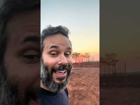 Pôr do sol de cinema na Usina Santa Luzia em Nova Alvorada do Sul MS #shorts #clog
