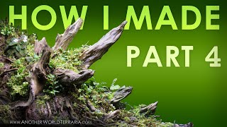 Crown Forest Terrarium Build Log Part 4 (Mini Ferns & Moss Madness!)