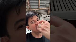 Download lagu Nakatikim na ba kayo ng Mabolo (kamagong) at Mansanitas (governor’s plum)? mp3