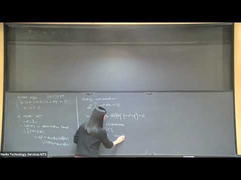 On Hölder continuous globally dissipative Euler flows - Hyunju Kwon