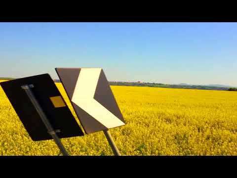 Dave Brubeck "Golden Brown" (Flavia Lazzarini Re-edit 2021)