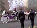 Nov 28 2008 VID00012