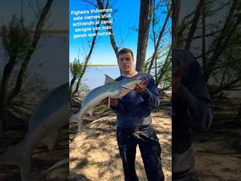 Arrancamos con todo.... Figheira Santa Fe