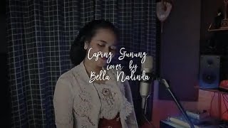 Download lagu Langgam CAPING GUNUNG (cover) mp3