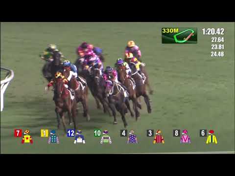 19/5/2021 (685) Savvy Kingman - J Moreira